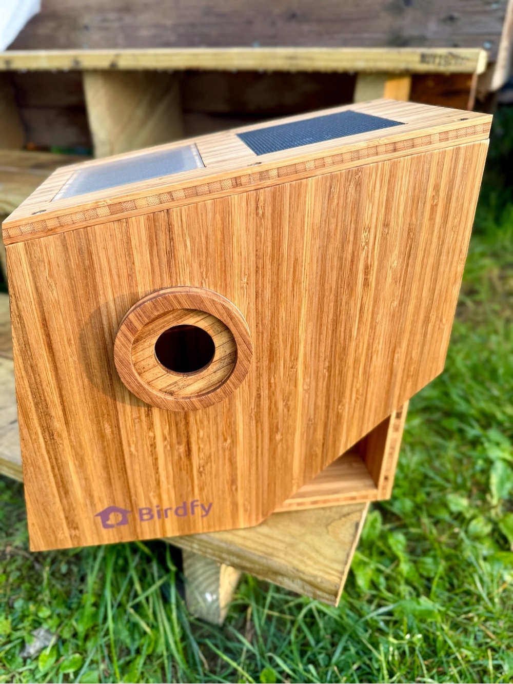 Birdfy Nest Polygon with Solar Panel & Camera